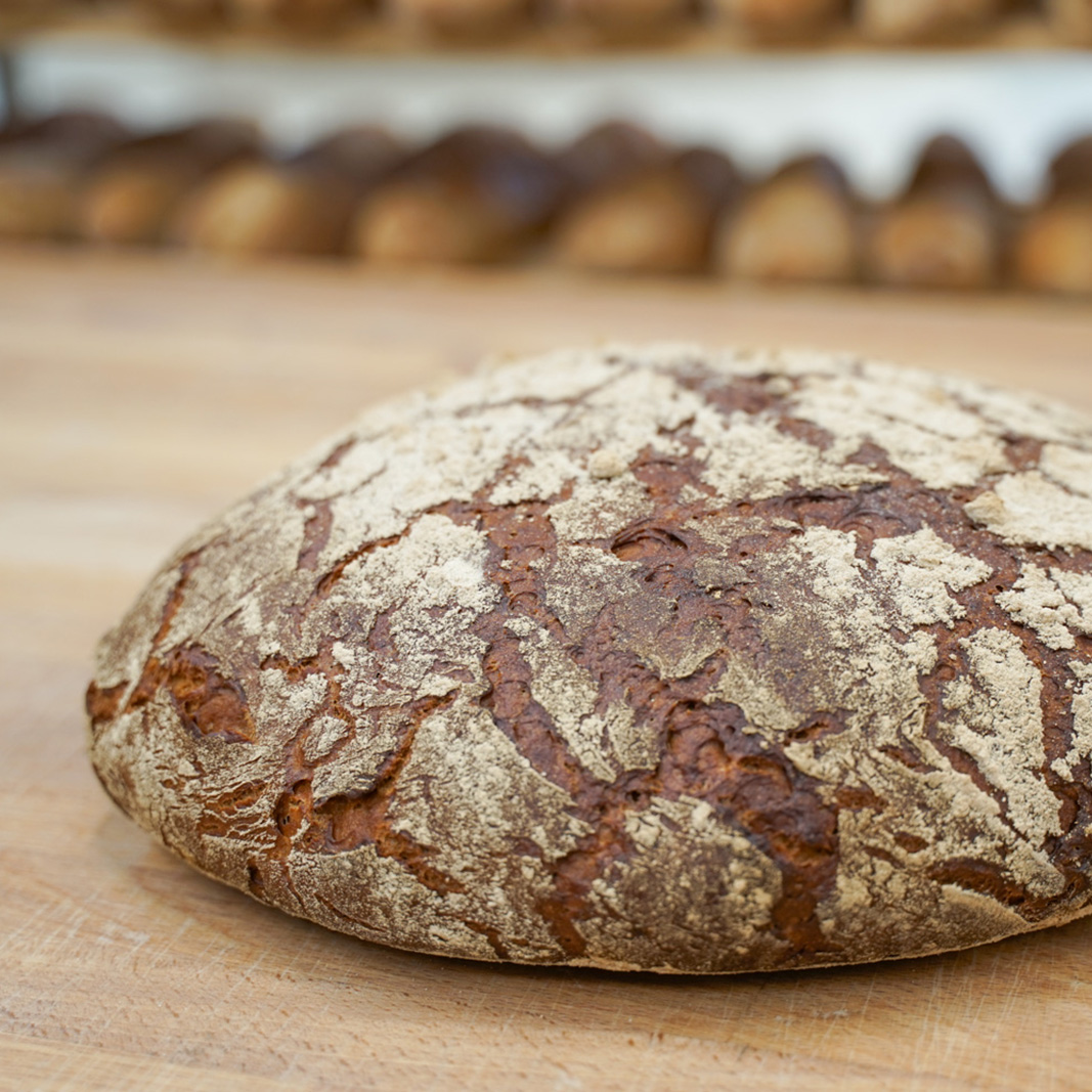 Bread’n’Bun Bakery Startseite (bis 09-2024)